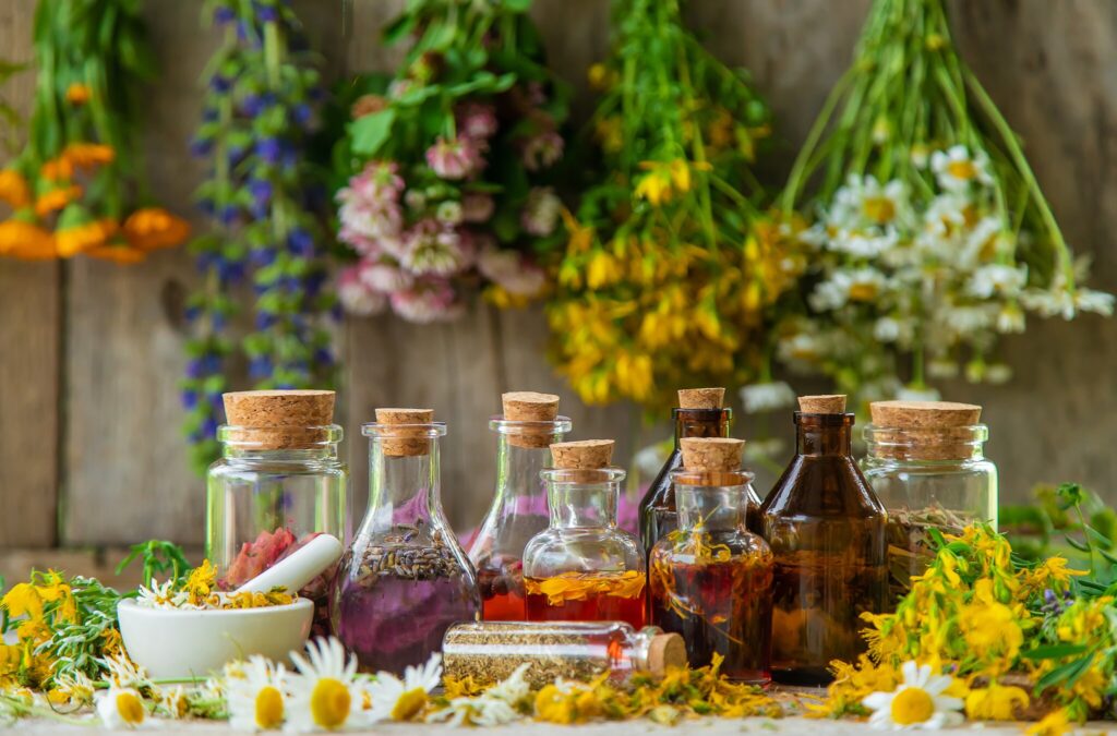 Méthodes naturelles et saines , plantes et alimentation